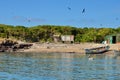 Isla Isabel off MexicoÃ¢â¬â¢s Riviera Nayarit coast.